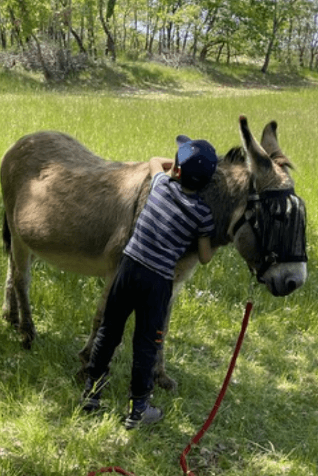 Enfant qui fait un gros câlin à l'âne