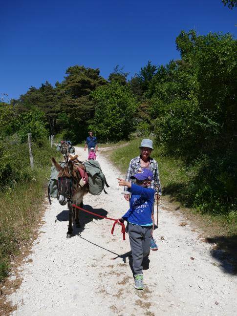 En randonnée âne avec une famille sur un chemin ensoleillé