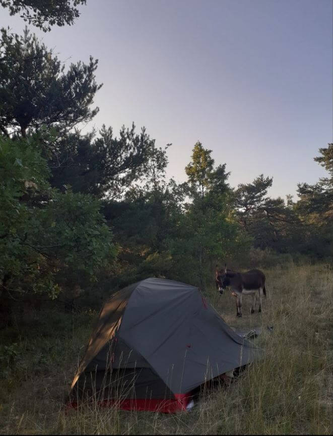 Tente pour bivouaquer pendant une randonnée âne en itinérance