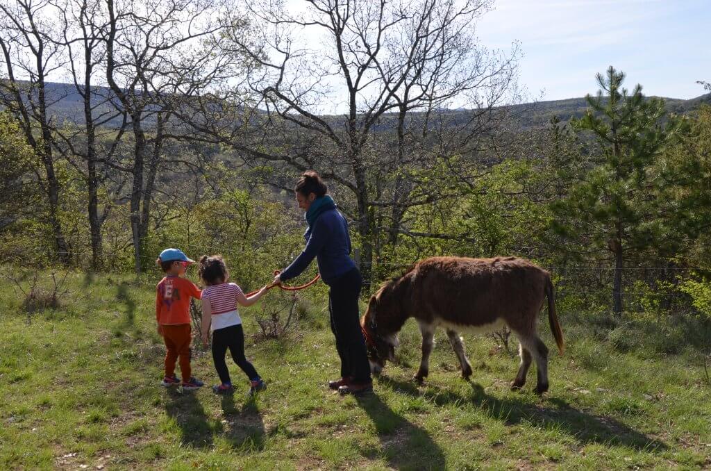 Enfants et maman lors d'un Atelier découverte de l'âne  - A Fleur d'âne