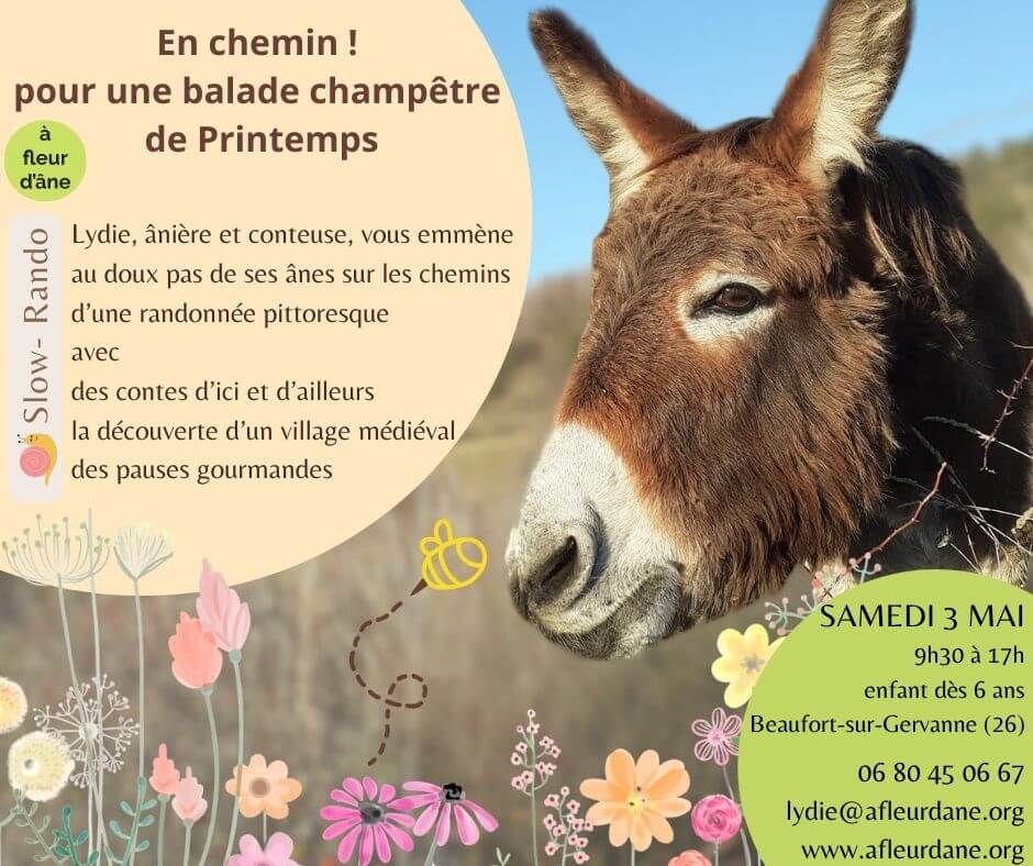 une rando-âne champêtre de Printemps - A fleur d'âne
