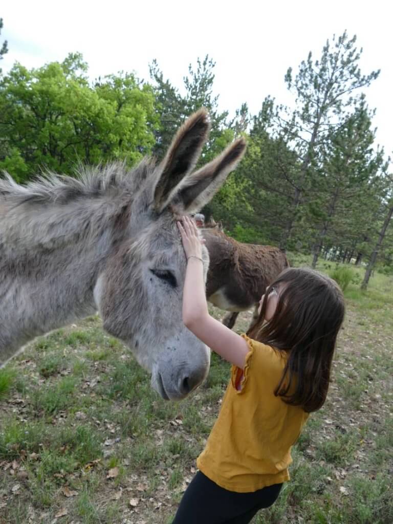 l'âne et l'enfant, une rencontre intime