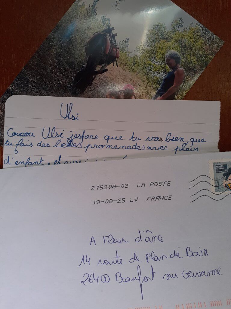 un courrier destiné à notre ânesse - à fleur d'âne