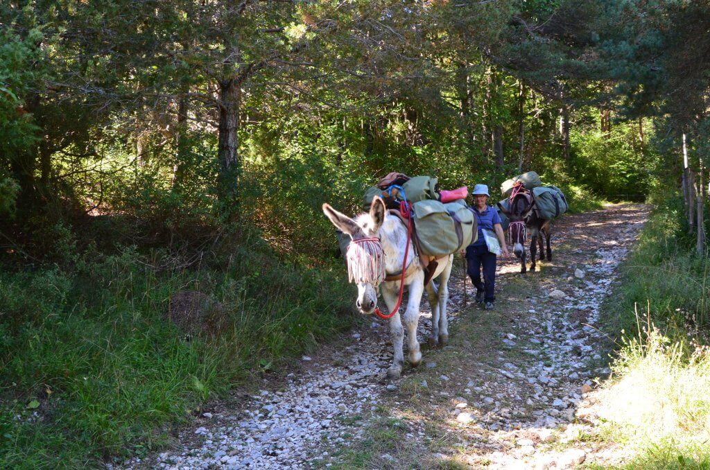 voyage à pied de 3 semaine - à fleur d'âne