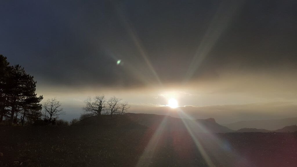 une belle lumière de soleil couchant - à fleur d'âne