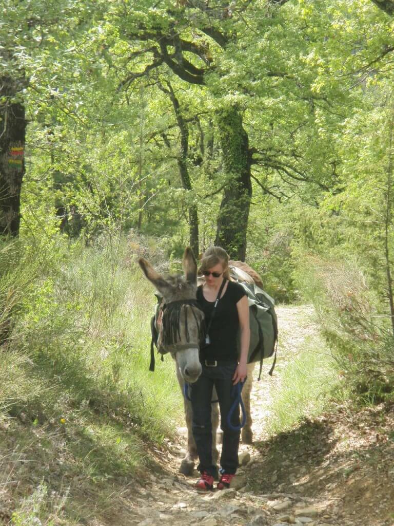 une écoute mutuelle - à fleur d'âne