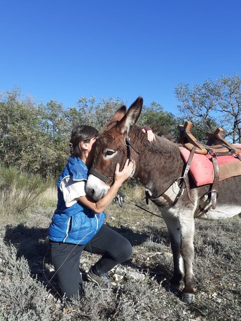 des émotions partagées entre l'humain et l'âne - à fleur d'âne