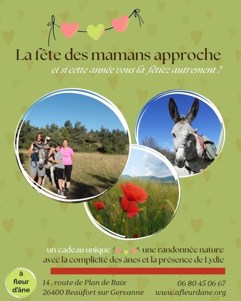 un cadeau original pour la fête des mères - à fleur d'âne
