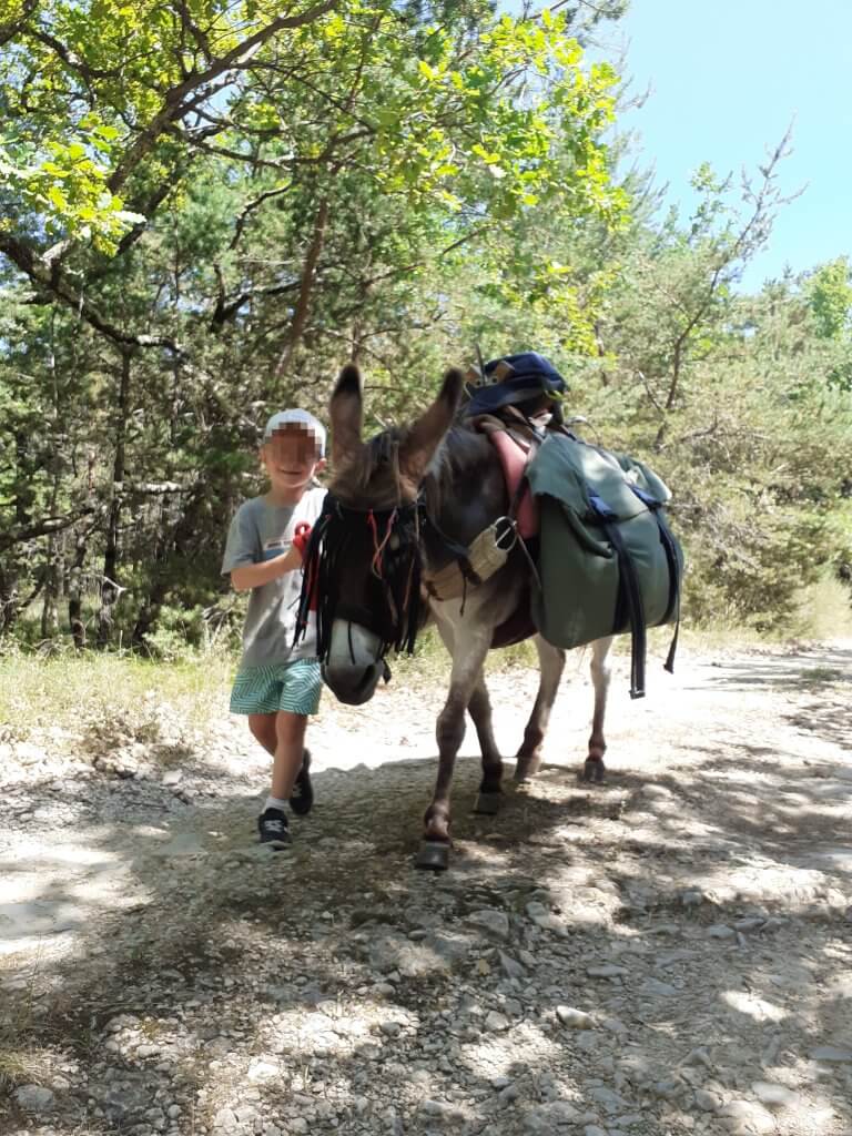 en chemin, enfant et âne complices - à fleur d'âne