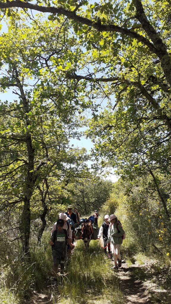 sur les c hemins de nature avec Ulcie et les enfants- à fleur d'âne