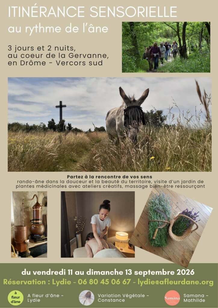 Rando-âne itinérante en septembre - à fleur d'âne