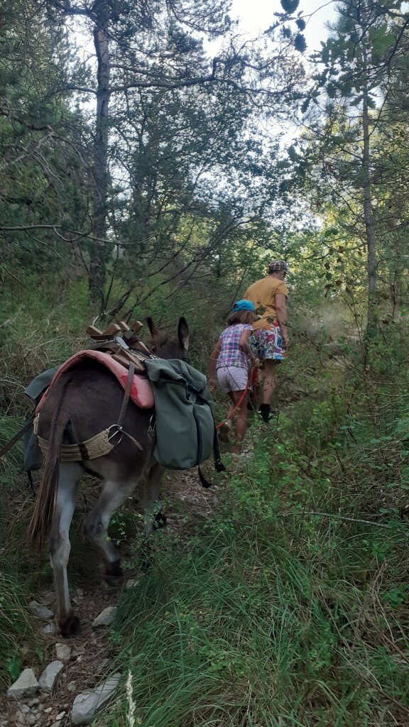 balade-ane-vercors-sud c'est parti pour l'aventure - à fleur d'âne