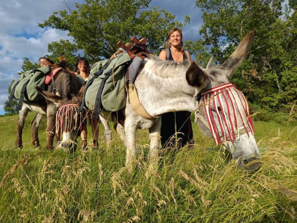 une randonnée-âne entre femmes, entre copines - à fleur d'âne